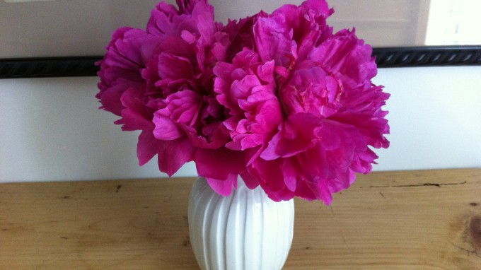 Permanent Link to Peonies make me happy today