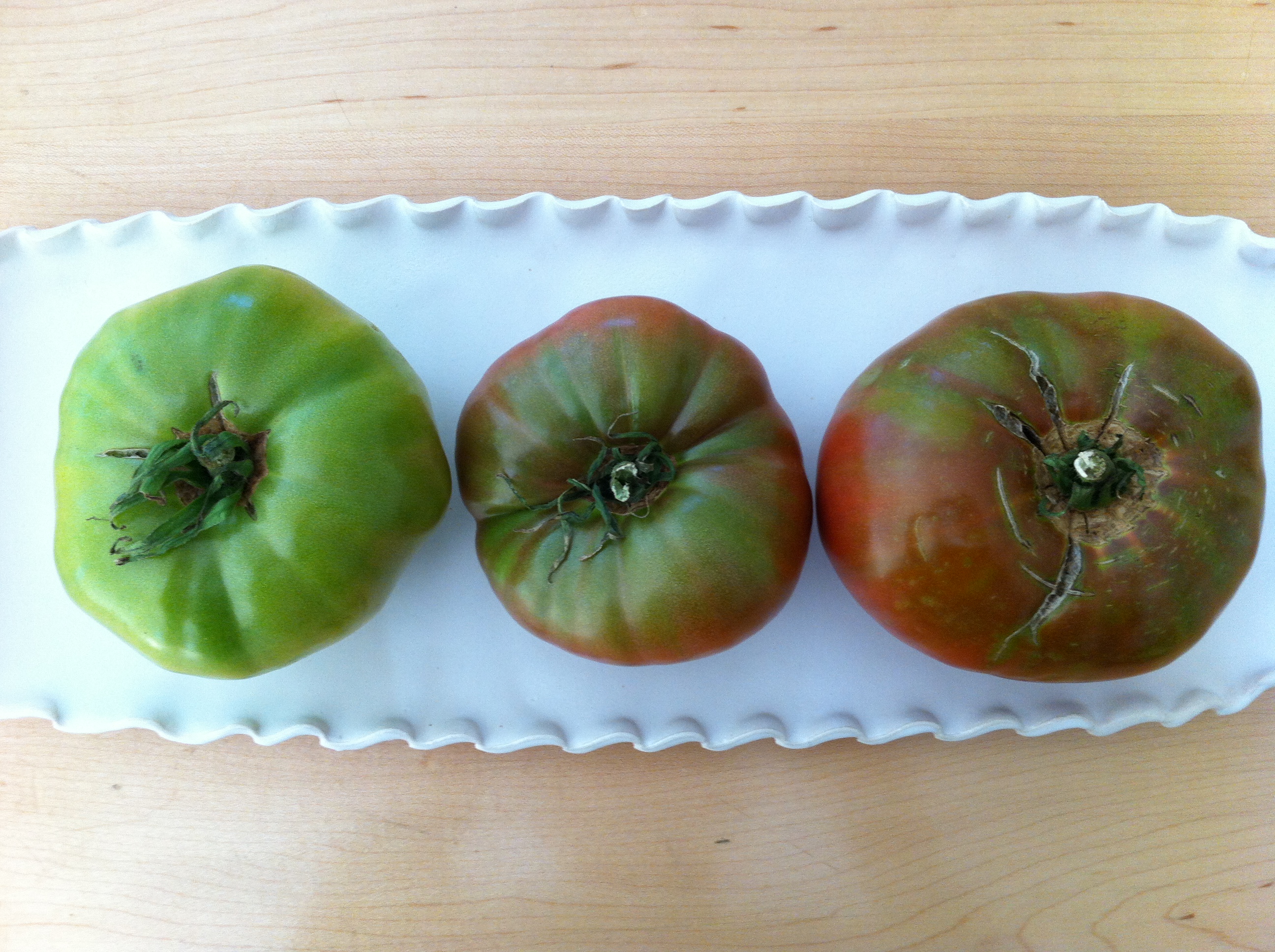 Heirloom tomato ripening