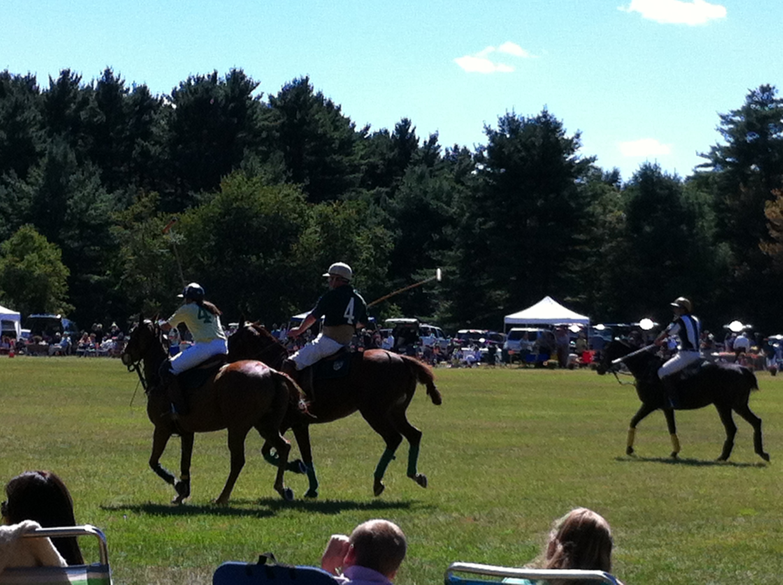 Polo in the Country